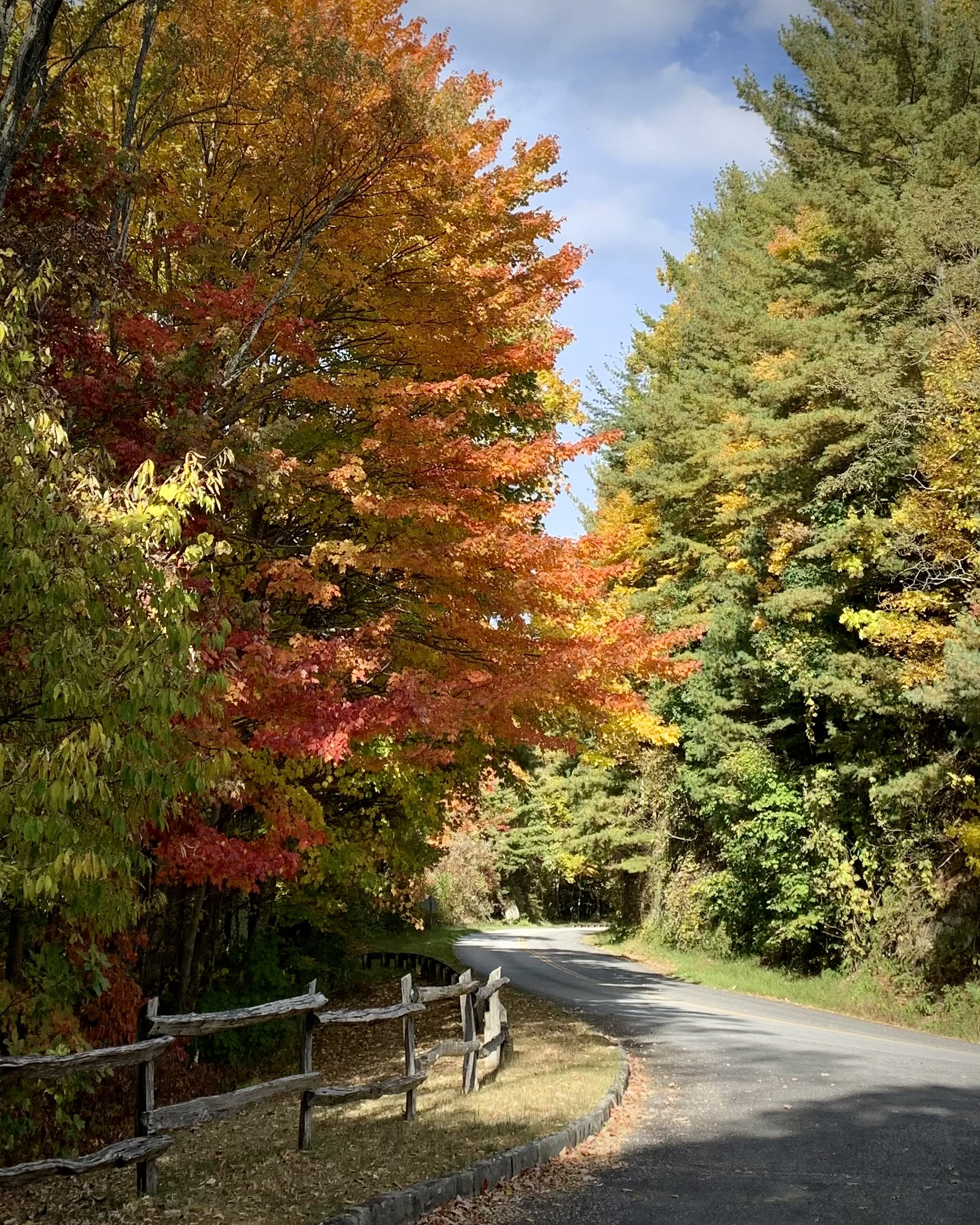 A scenic autumn forest road lined with vibrant fall foliage in shades of orange, red, and yellow, with green evergreens on the right and a rustic wooden fence in the foreground